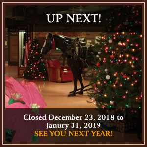 Christmas in Meeteetse