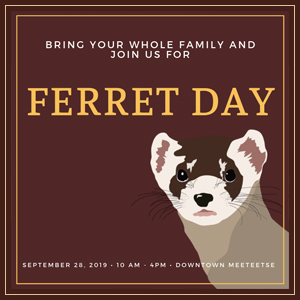 Ferret Day 2019